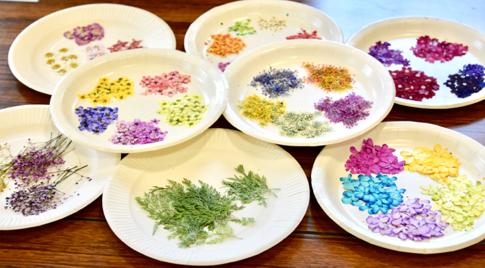 ひた押し花美術館 押し花体験