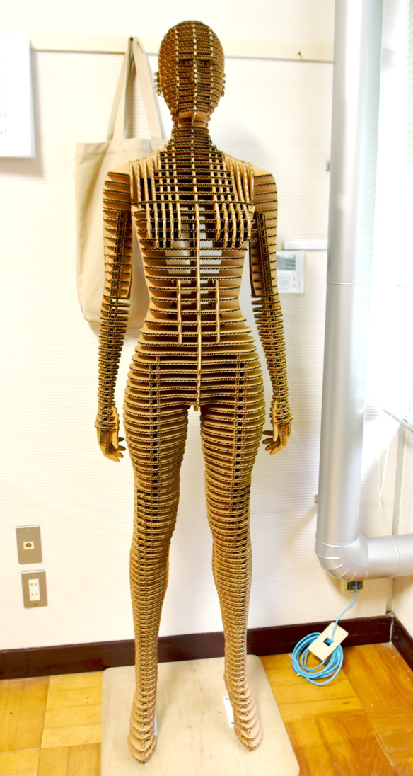 d-torso