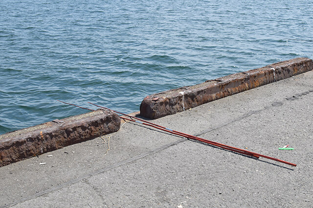 釣りはじめてみました。