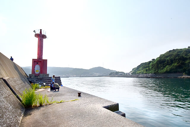 釣りはじめてみました。