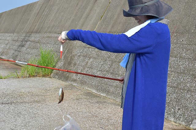 釣りはじめてみました。