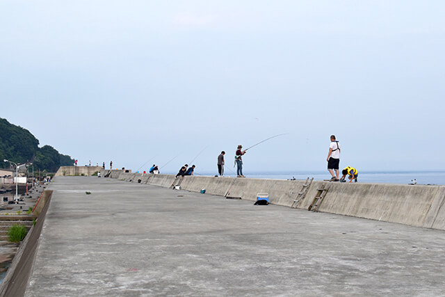 釣りはじめてみました。