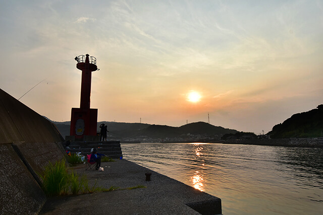 釣りはじめてみました。
