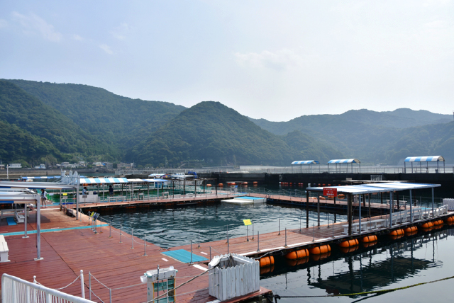 うみたま体験パーク つくみイルカ島