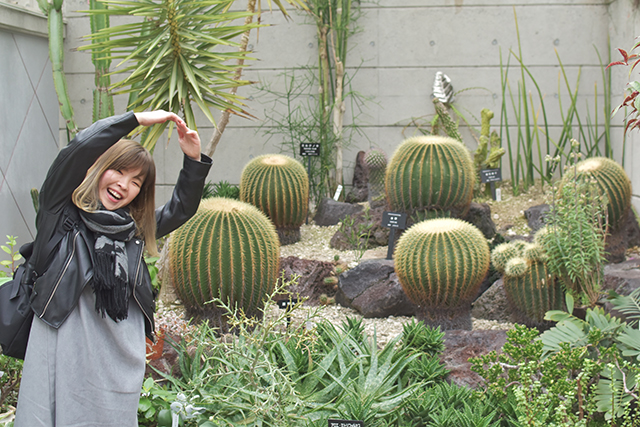 佐野植物公園　温室