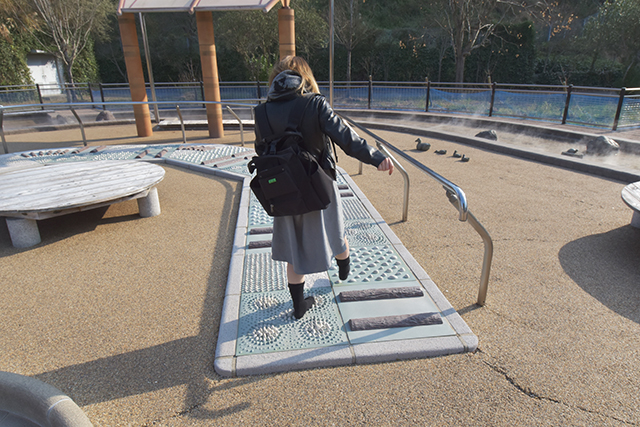 佐野植物公園　足つぼ