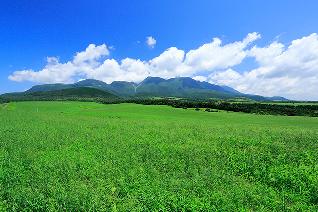 DRUM TAO 久住高原