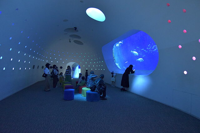 うみたまホール