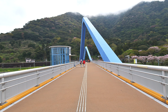 高崎山　陸橋