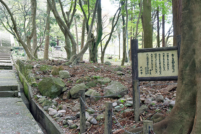 高崎山 おさるの国のエチケット