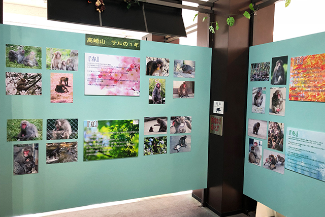 MONKEY　MUSEUM　おサル資料室