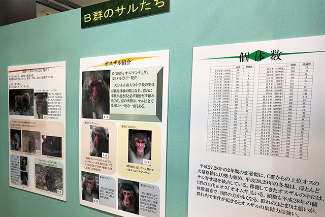 MONKEY　MUSEUM　おサル資料室