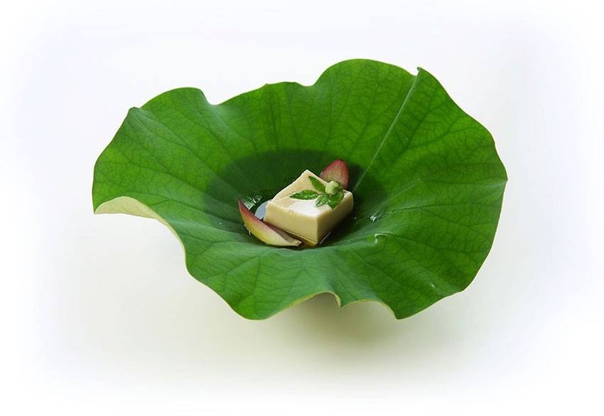 大分を連れていこう