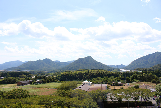 三和酒類株式会社