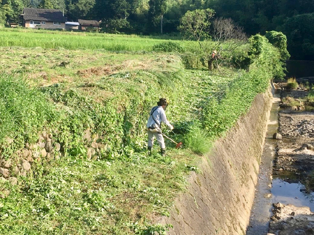 The Japan Travel Company 株式会社