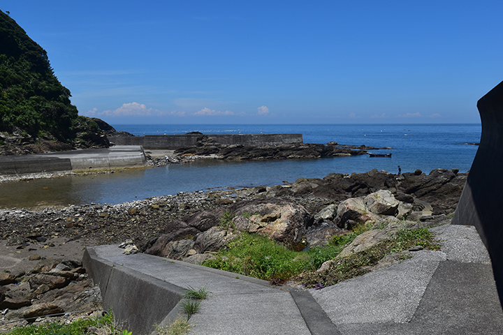 シュノーケリング海
