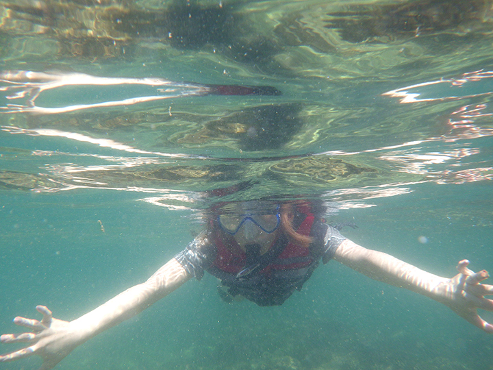 シュノーケリング