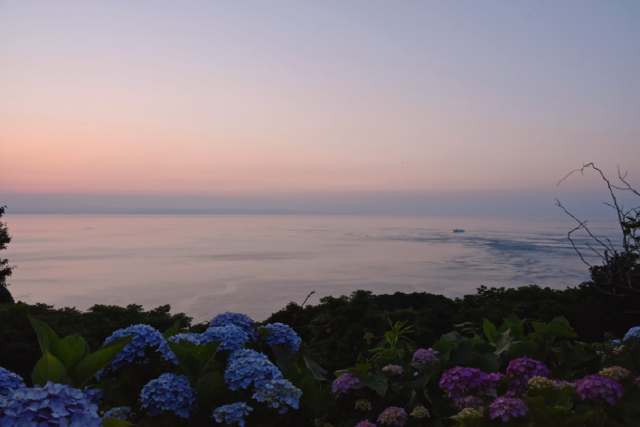 佐賀関 太陽の岬