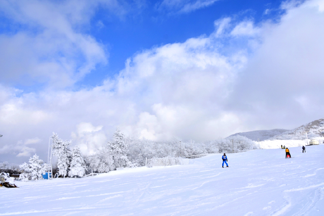 九重森林公園スキー場 ゲレンデ