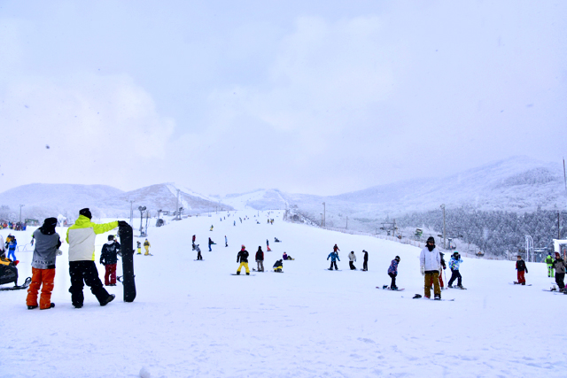 九重森林公園スキー場 ゲレンデ