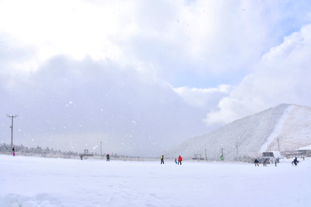 九重森林公園スキー場