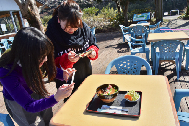 床木ダムカレー