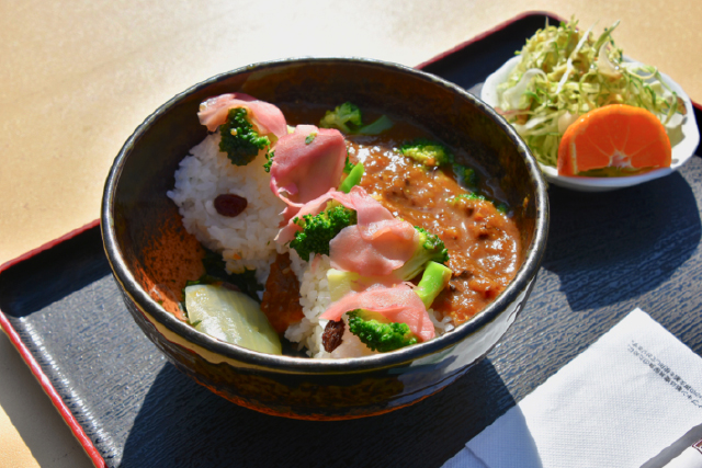 床木ダムカレー 放ルー