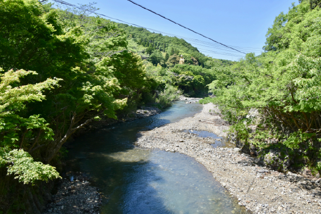 名水百選の「白山川」