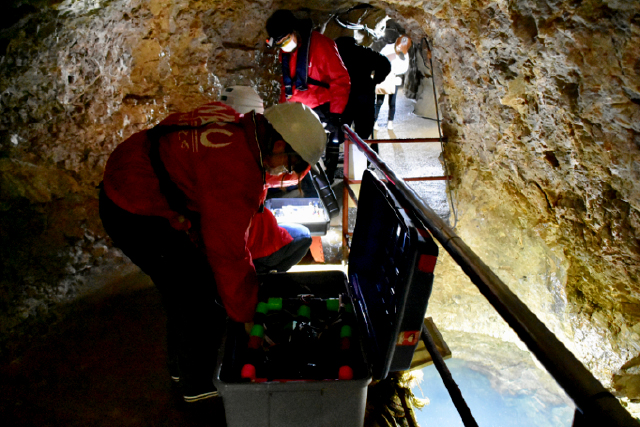 稲積水中鍾乳洞 日本文理大学・稲川研究室