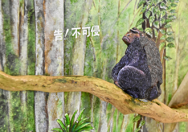 日出 石ころたちの動物園　猿