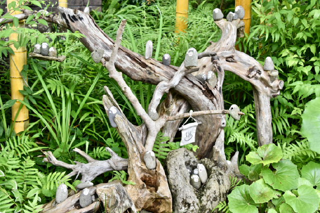 日出 石ころたちの動物園