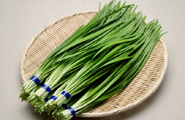 おおいたの野菜を食べて、体も心も元気に！！