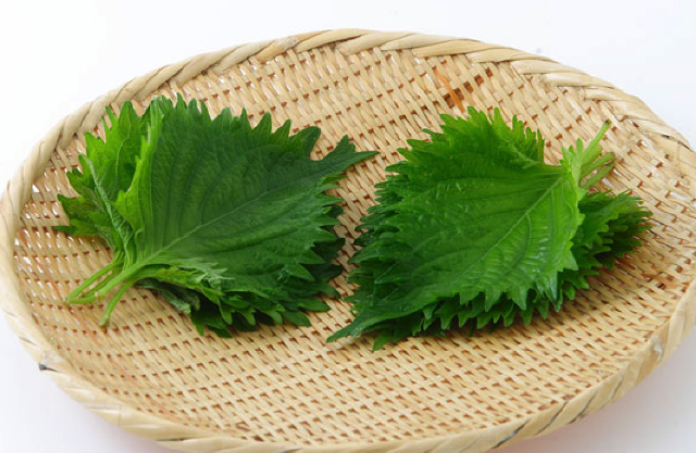 おおいたの野菜を食べて、体も心も元気に！！