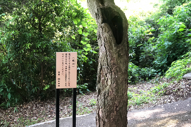 鬼滅の刃の聖地が別府に！-八幡竈門神社- 龍穴