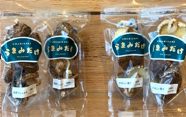Shiitake stand CONON うまみだけ