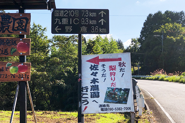 大分 梨狩り