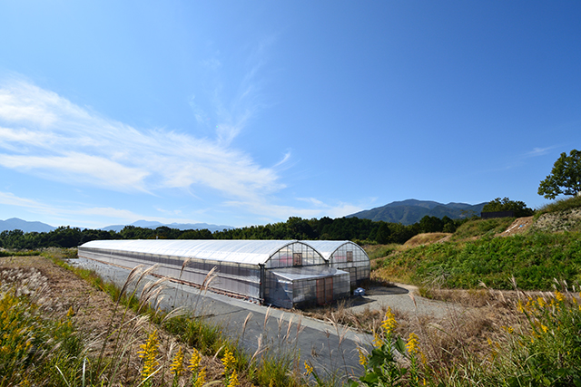 リモージュファーム Cafe Limoges