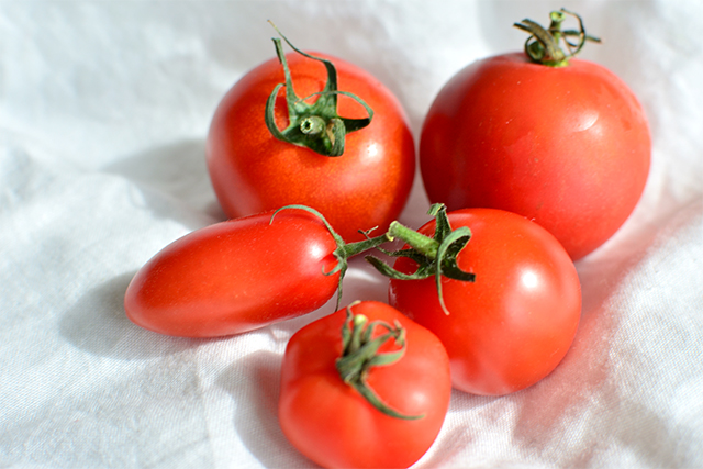 リモージュファーム Cafe Limoges