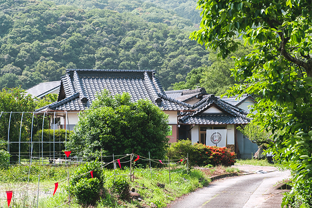 宇佐市 エクレア専門店 Akagera