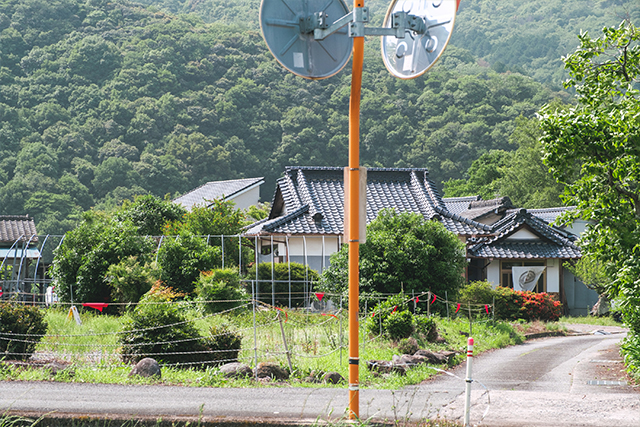 宇佐市 エクレア専門店 Akagera