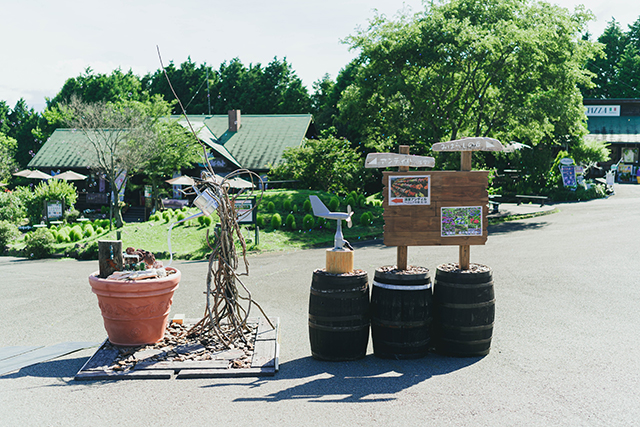 竹田市 くじゅう花公園