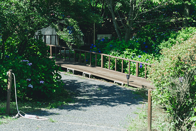 竹田市 くじゅう花公園