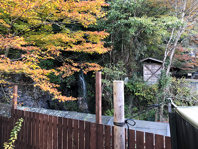 世界初!? 水中鍾乳洞の水風呂にダイブするサウナ体験♨