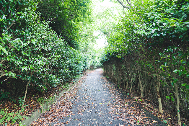 佐伯市 鶴御埼灯台