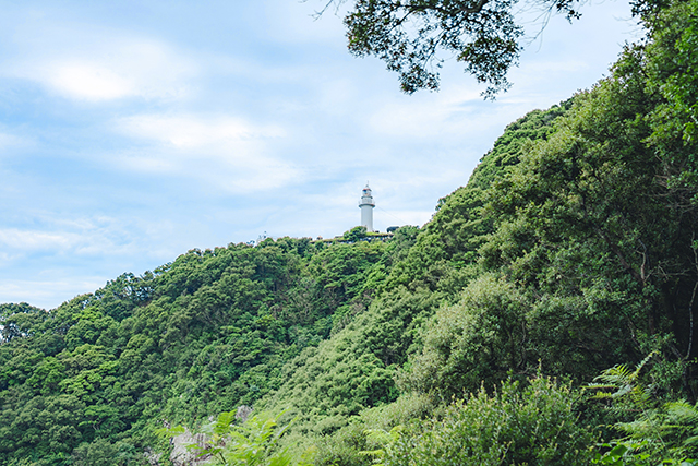 佐伯市 丹賀砲台園地