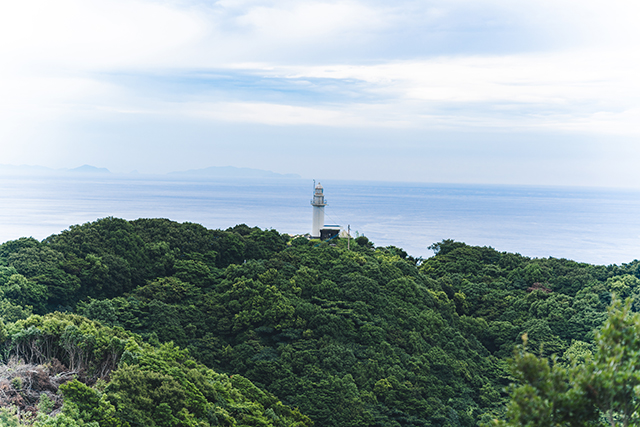 佐伯市 丹賀砲台園地