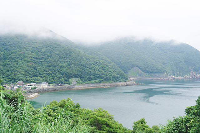 佐伯市 丹賀砲台園地