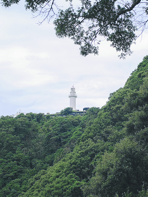 佐伯市 丹賀砲台園地