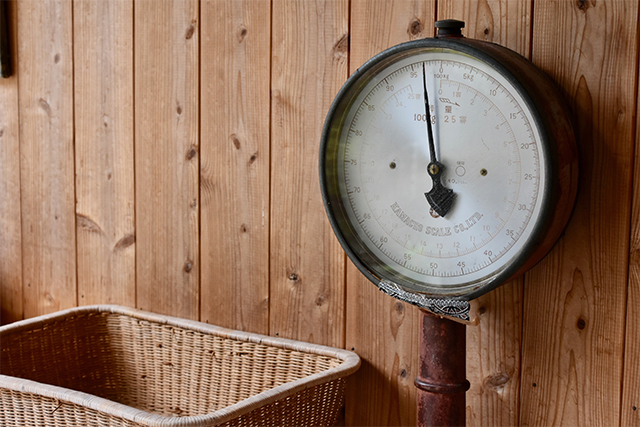 ホンモノレトロで時間旅行しよう 別府市 山田別荘