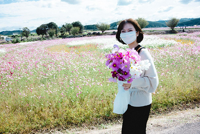 約2,500万本のコスモスがお出迎え!西日本最大級の規模「三光コスモス園」